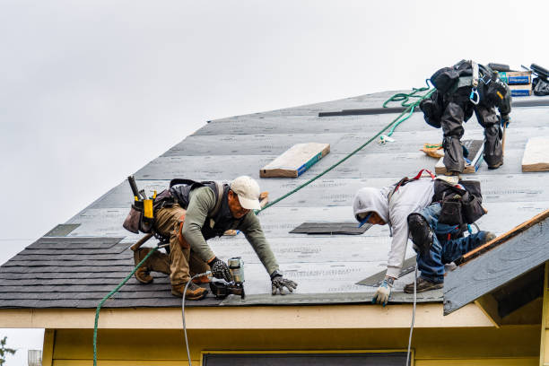 Professional Gutter Installation technician working in Finley, ND